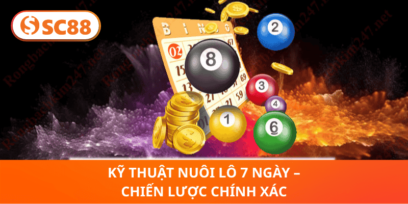 Kỹ Thuật Nuôi Lô 7 Ngày – Chiến Lược Chính Xác